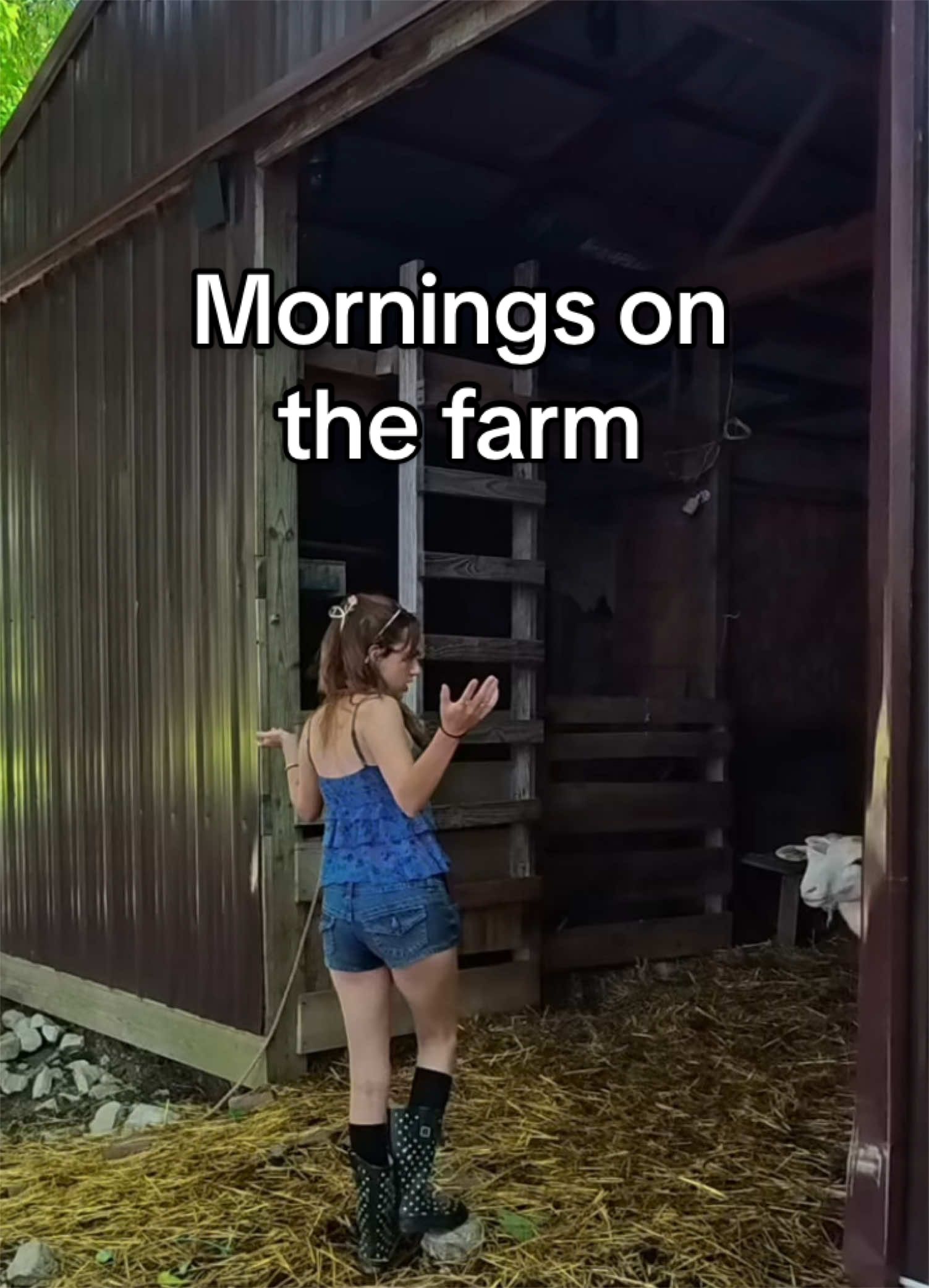 @Haley The Homesteader