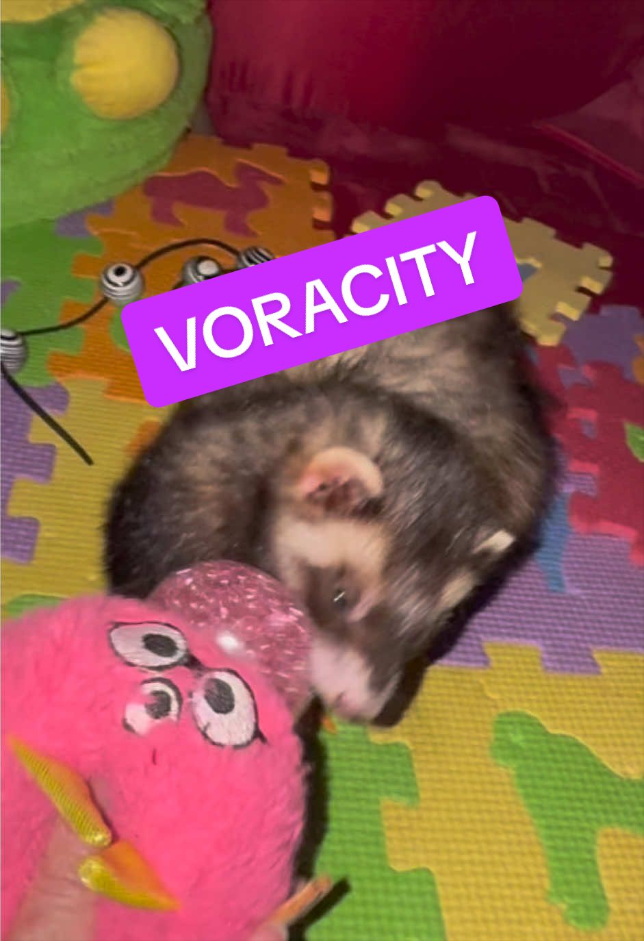 @Veritologic