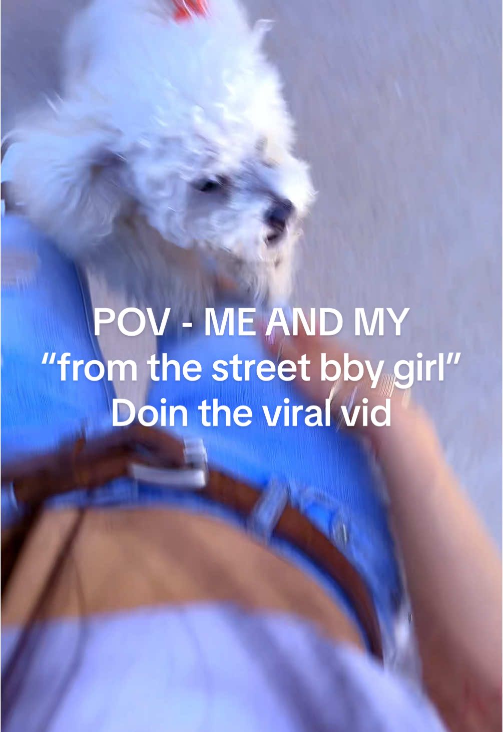 @BarbieLash