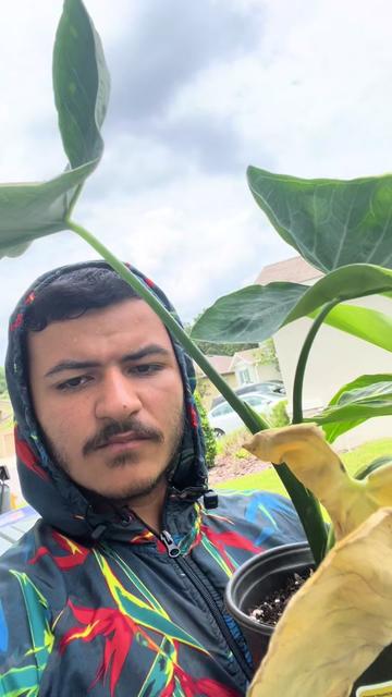 @👑⚜️EJ🇪🇸🇵🇷⚜️👑