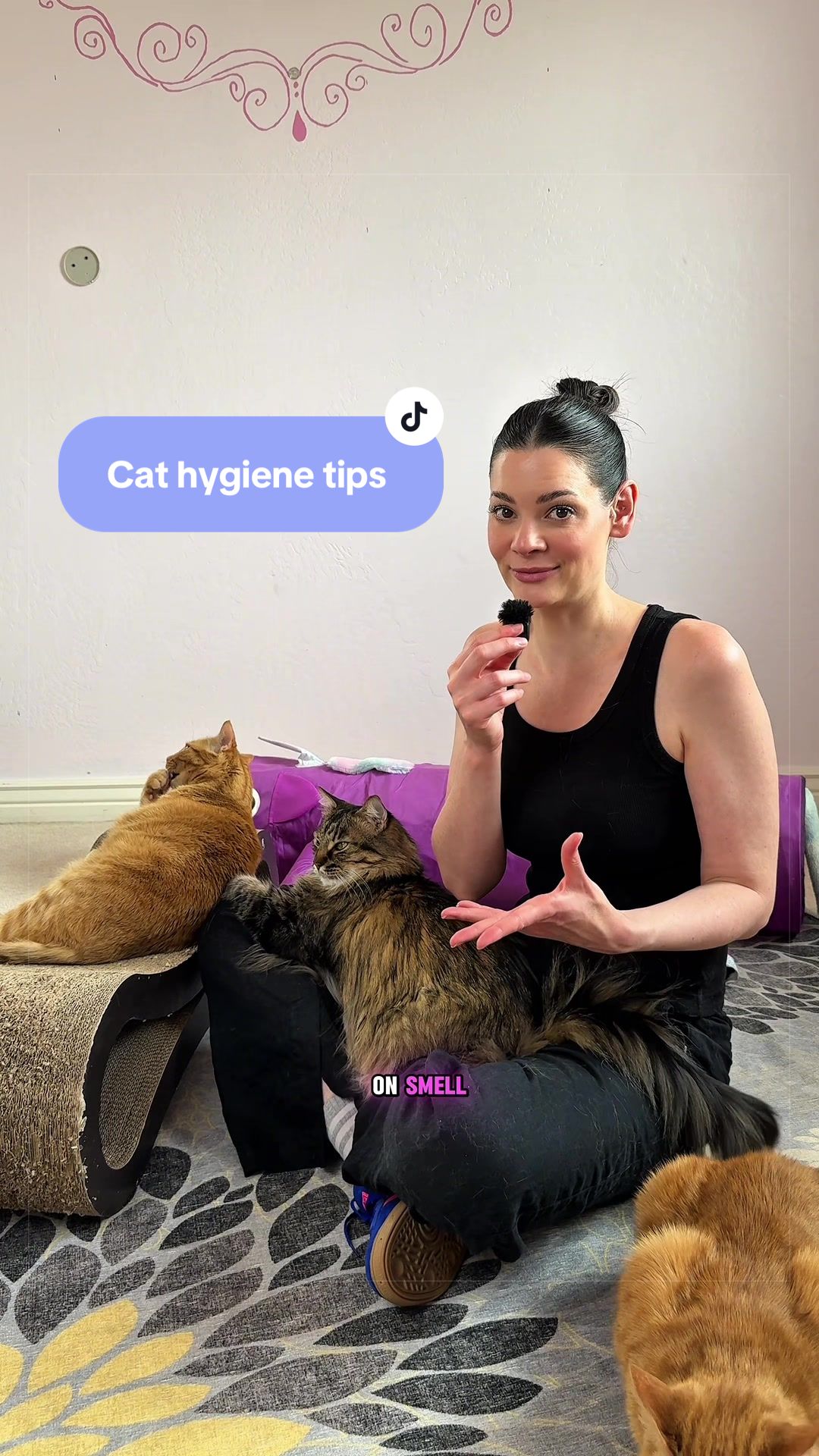 @Feminist Kitty | Cat Nutrition