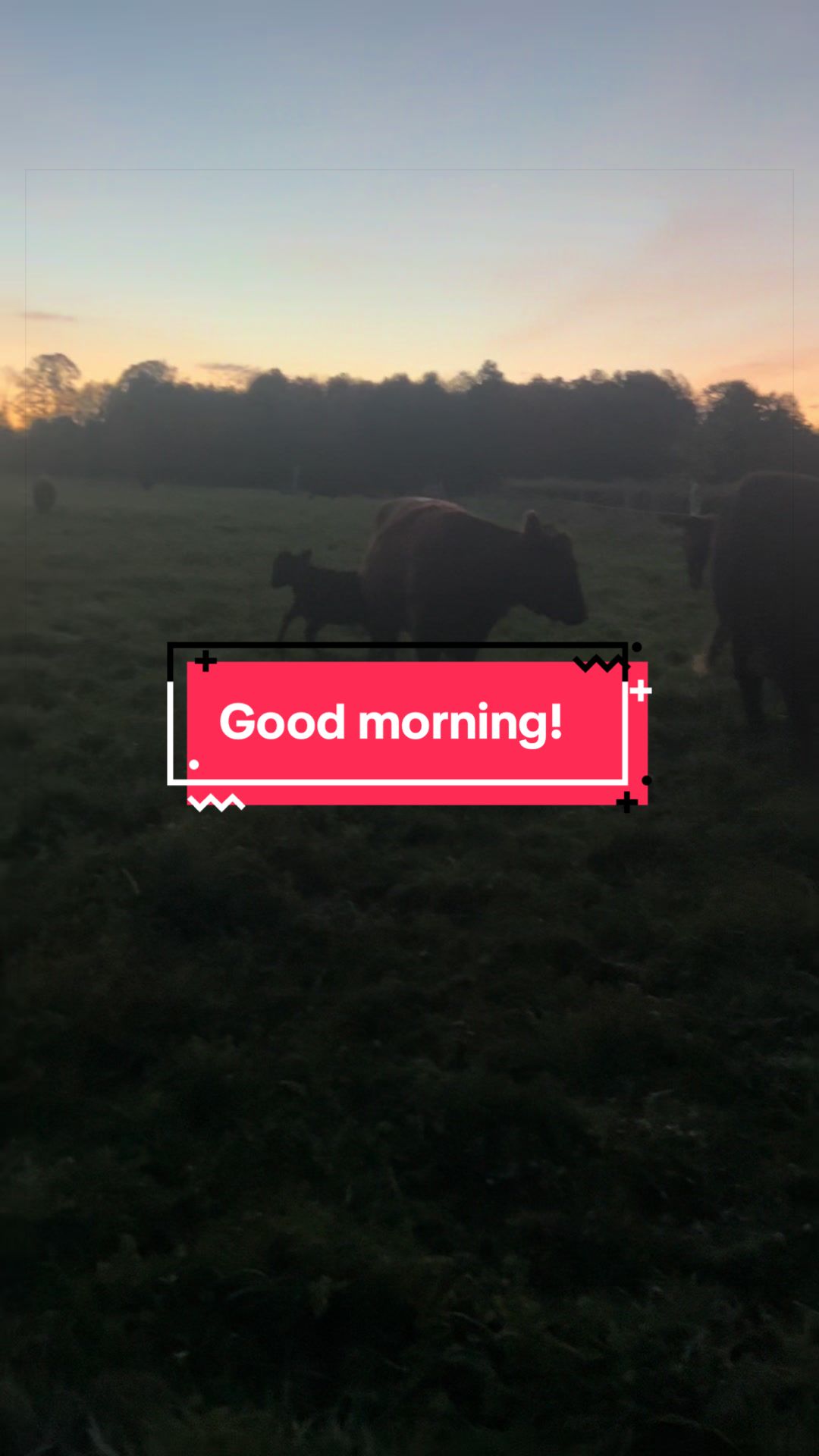 @littlesandycreekfarm