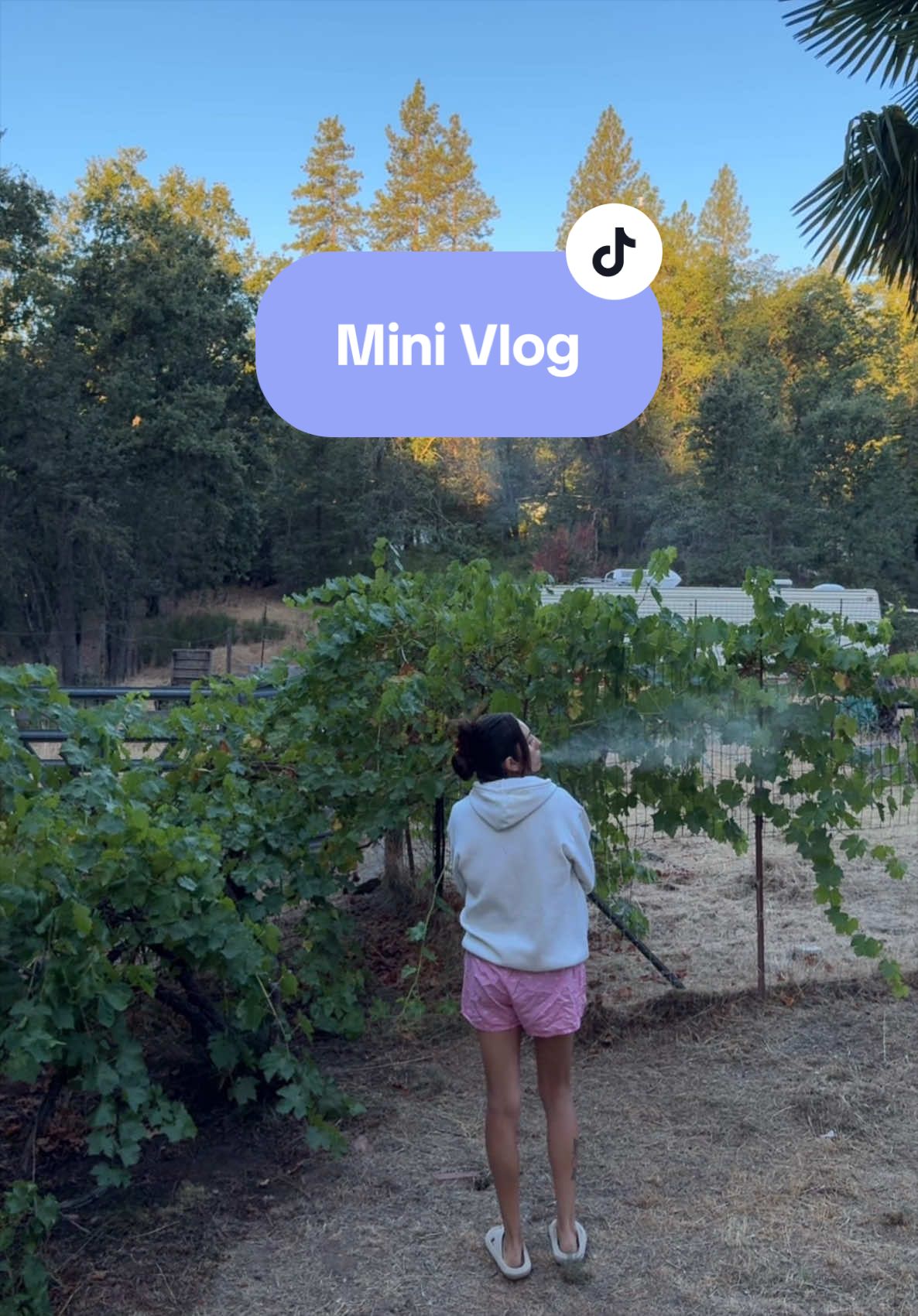 @Nicole | UGC + Vlogs 🍒