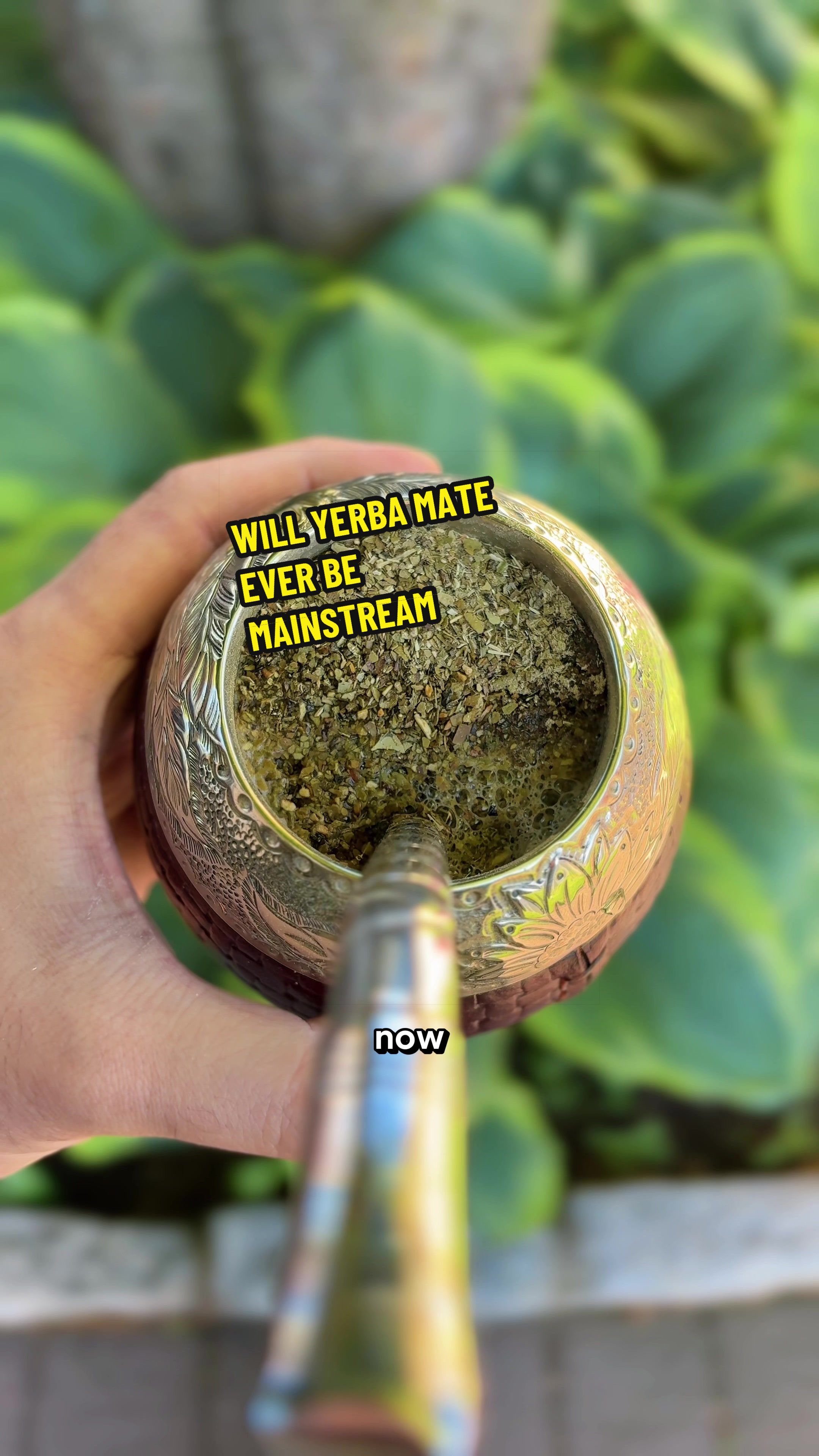 @Yerba Mate Lab LLC