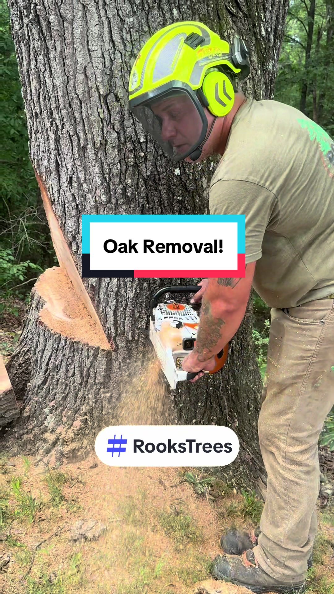 @Rook’s Tree’s 🌲🤙🏼