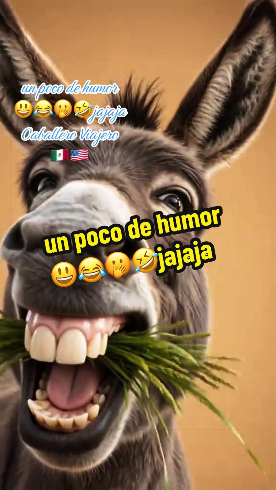 @caballeroviajero0317