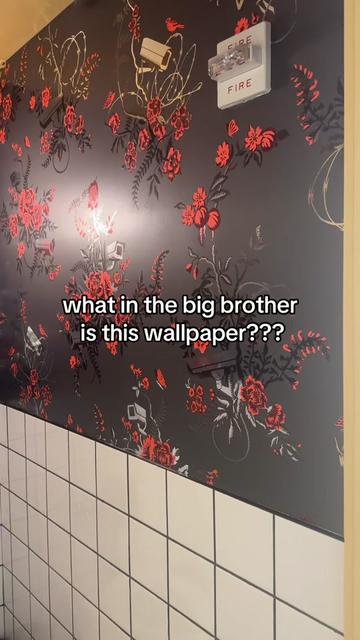 @Claudia Michelle