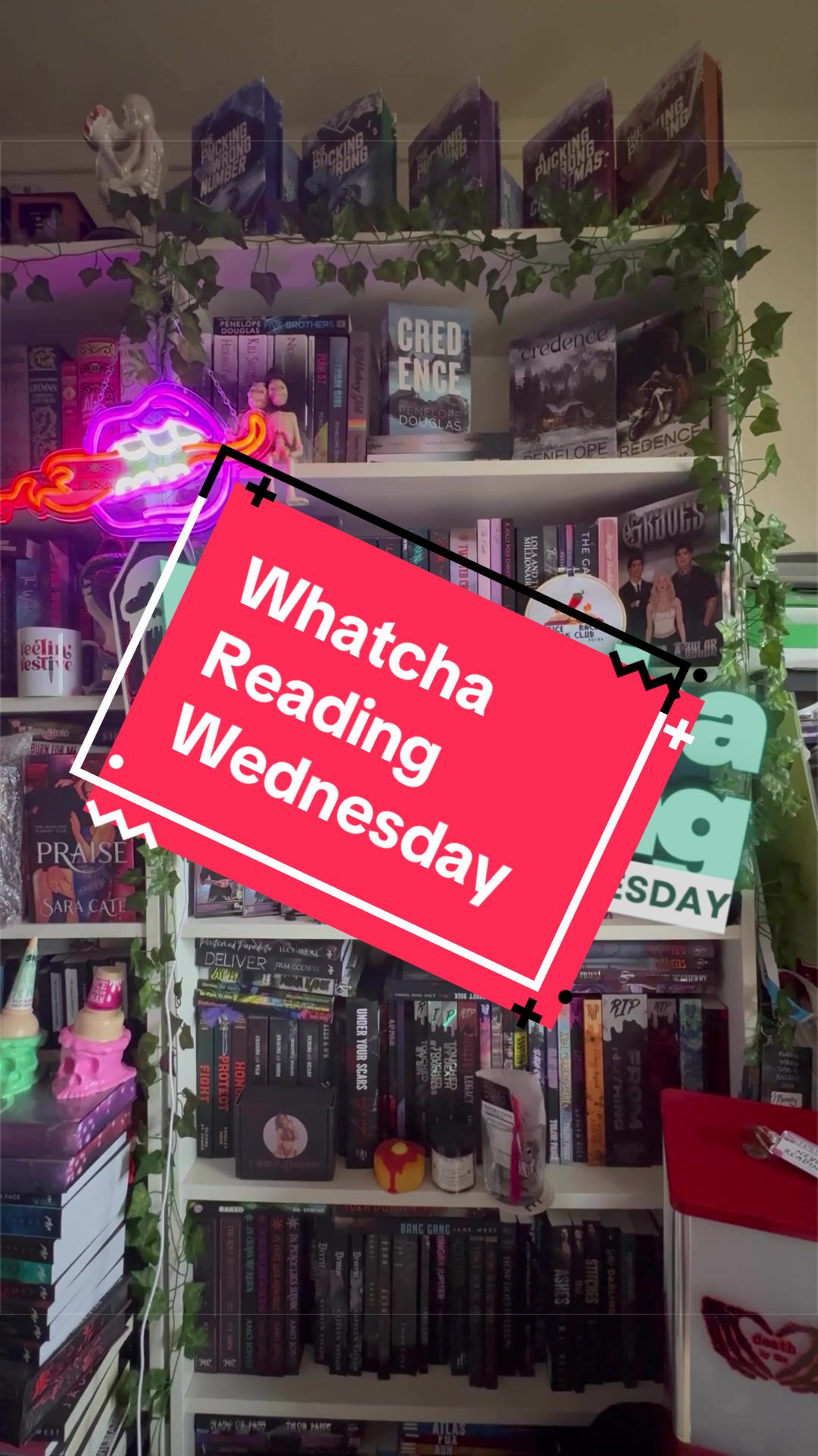 @themandysin 📚🦇