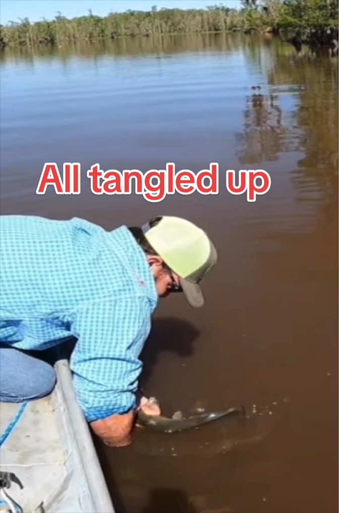 @C.J.