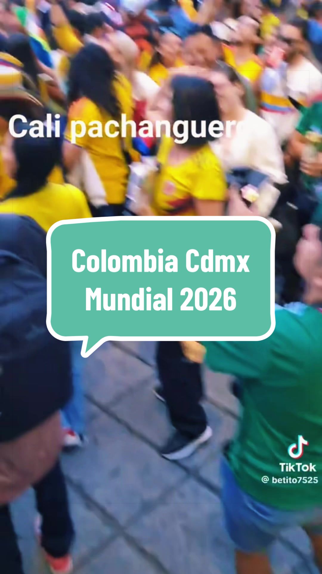 @caballeroviajero0317