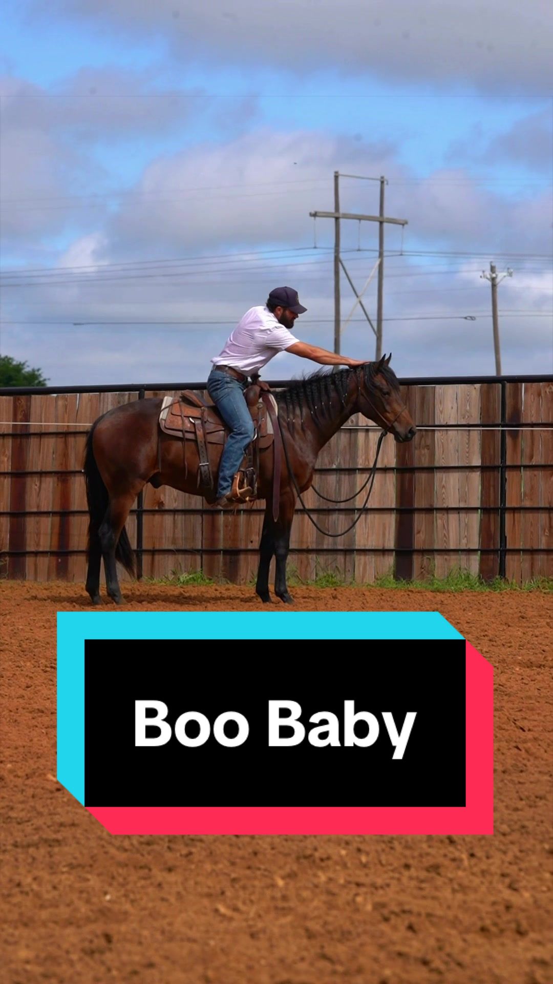 @WS Horses