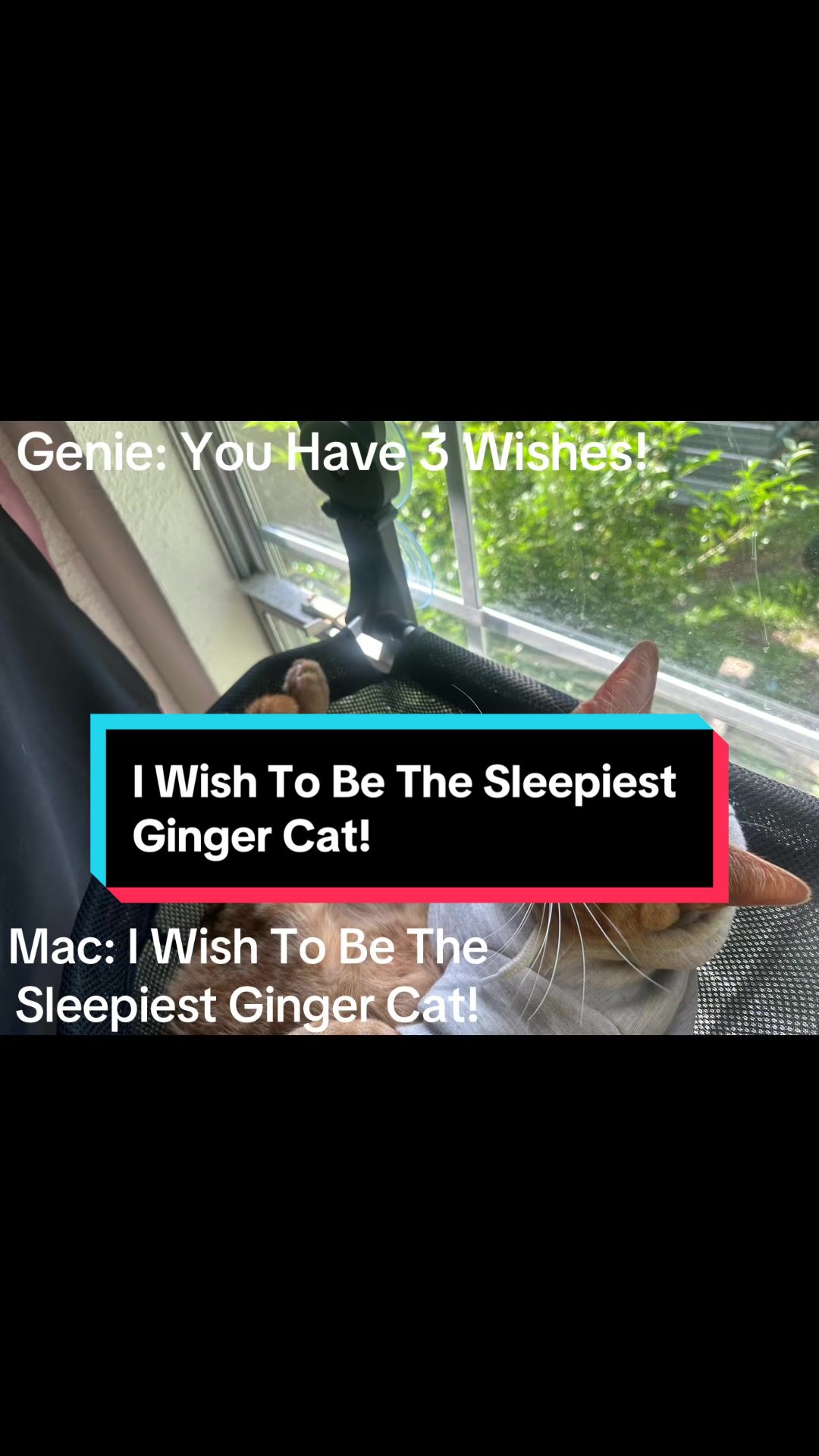 @𝓜𝓪𝓬𝓵𝓸𝓿𝓮