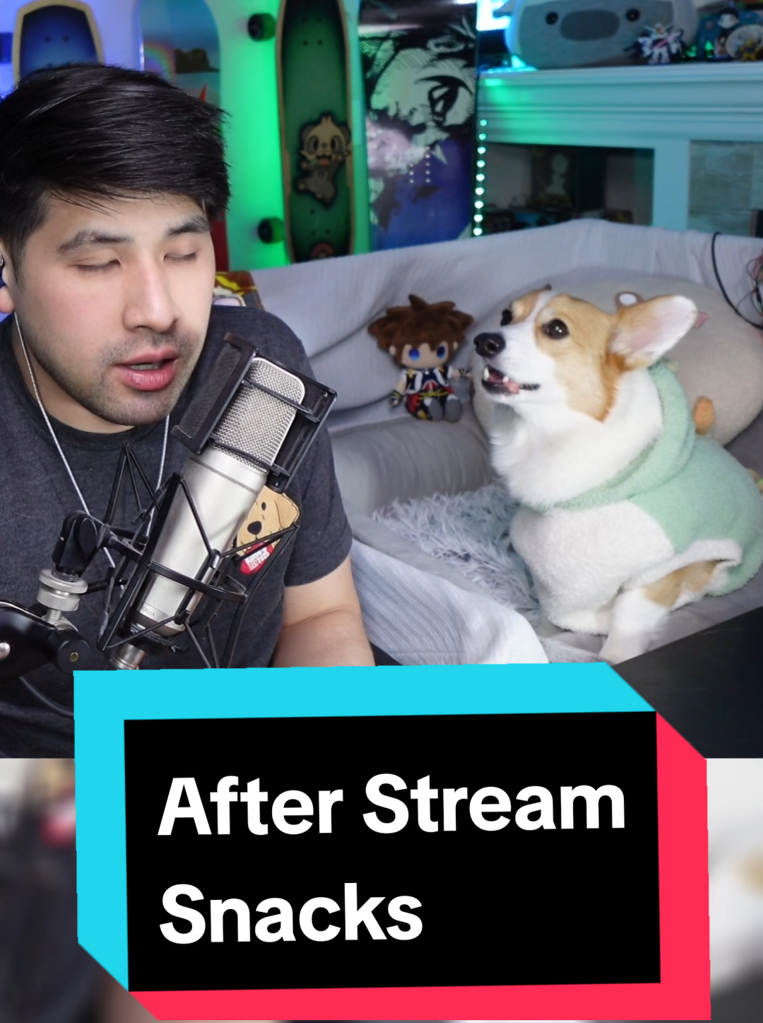 @Protocorg | Twitch Streamer