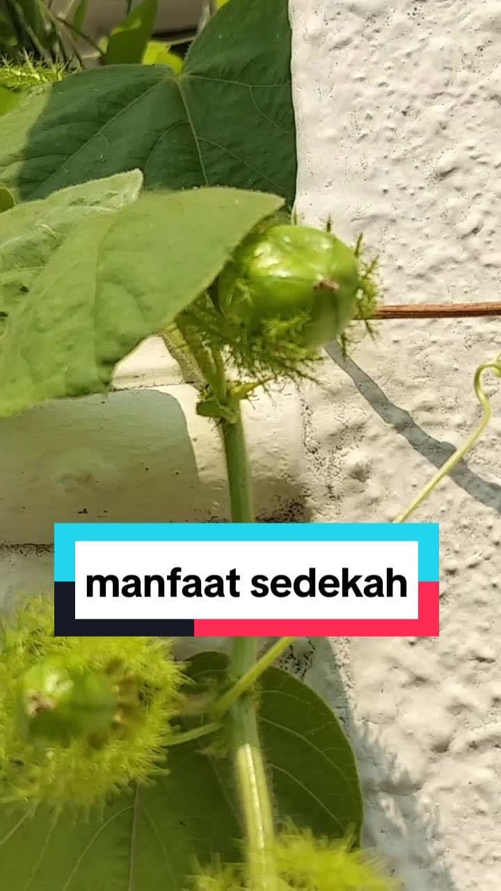 @dhesri73