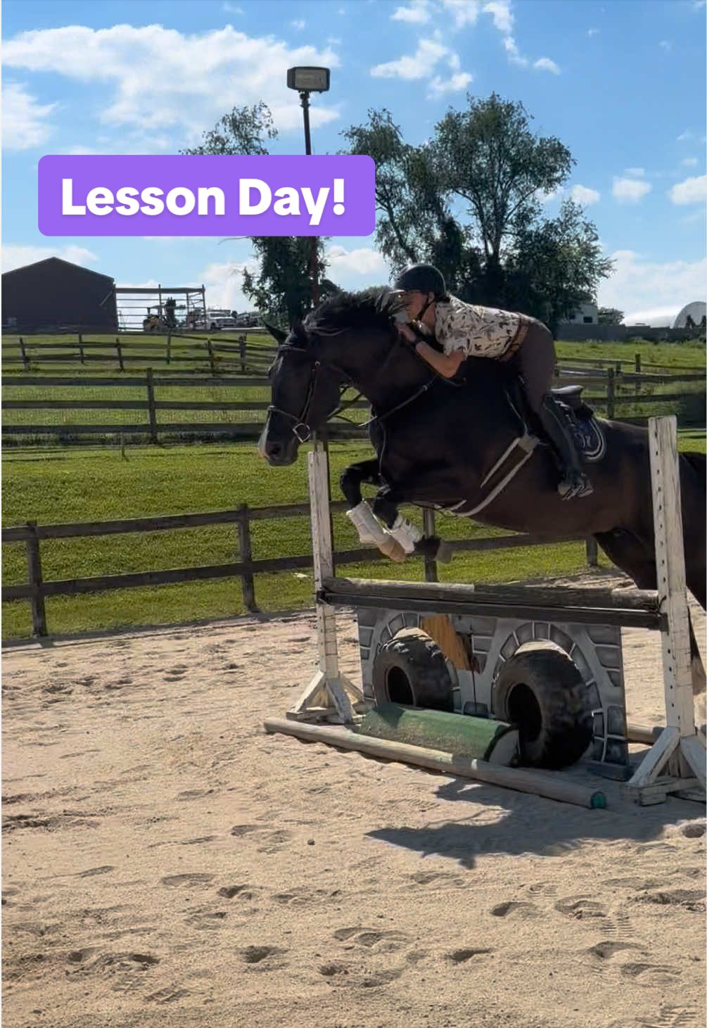 @Equestrian |🦄 Mom