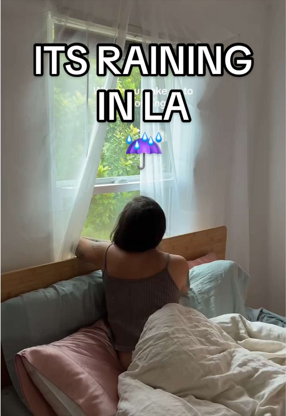 @nicoshea_