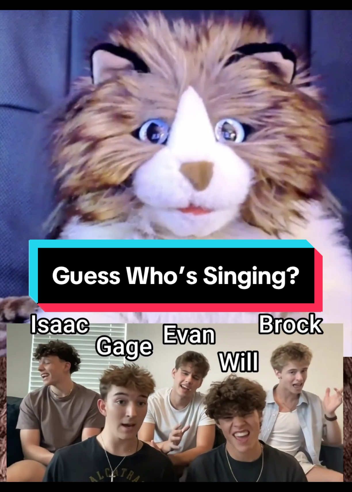 @PeterPrankster