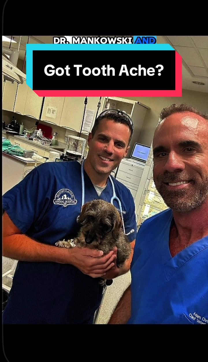 @dr.adam_christman_Veterinarian