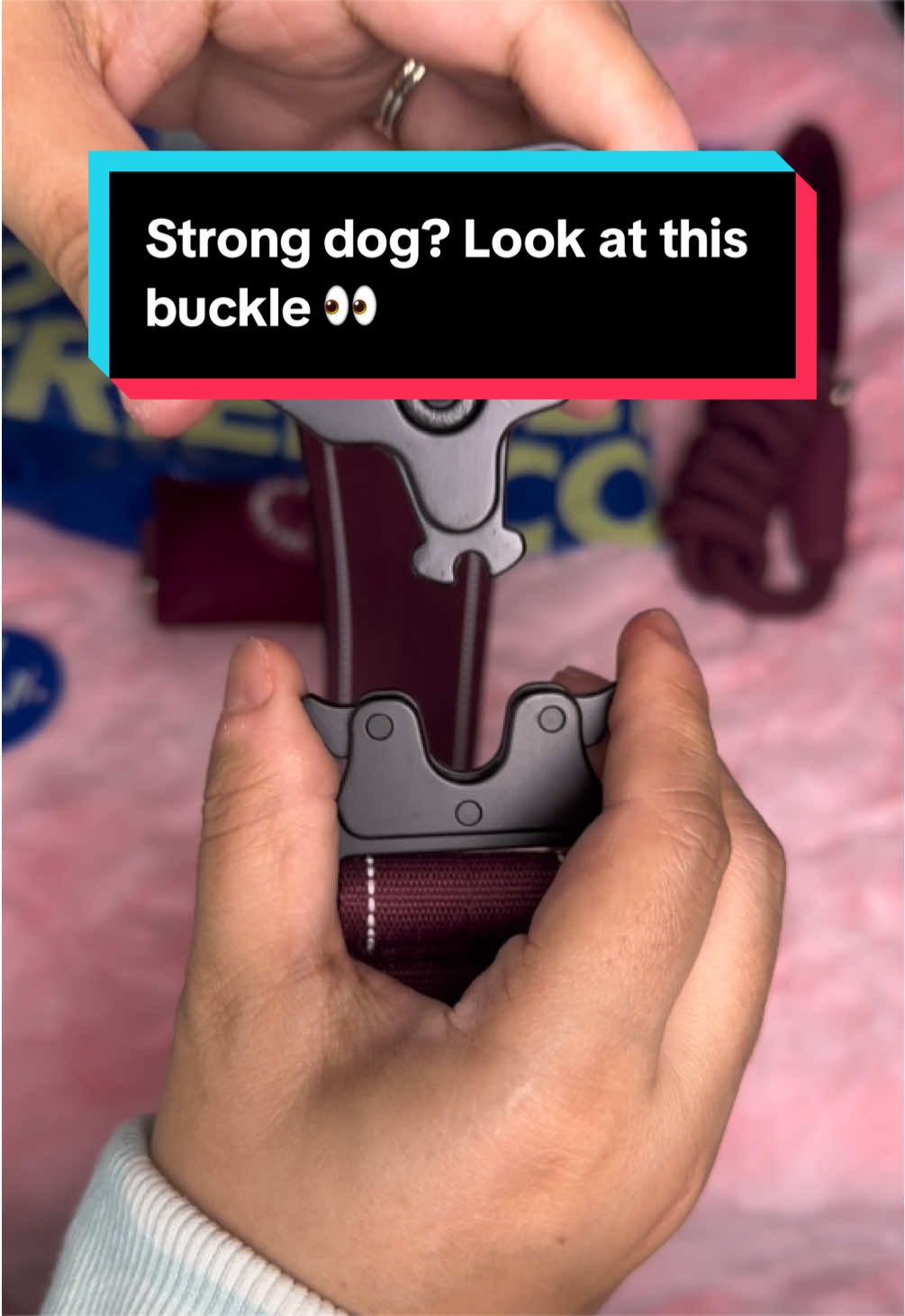 @Trinity 🐶🐾 | Dog Mom Finds