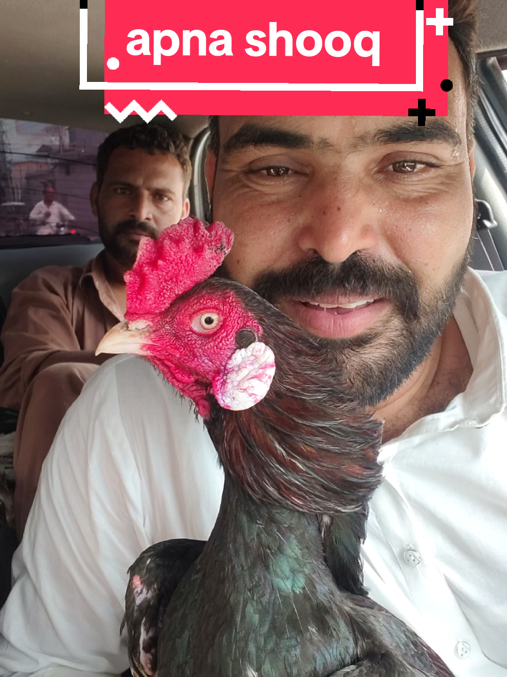 @faizan aseel farm 786