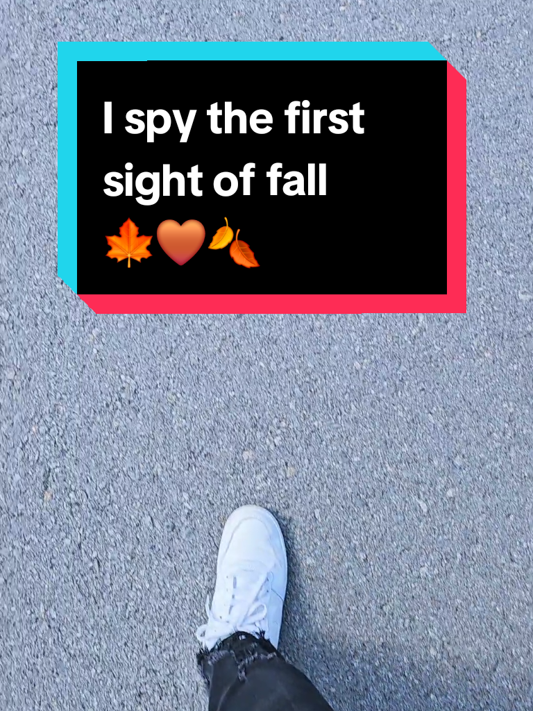 @leaveituptoliz