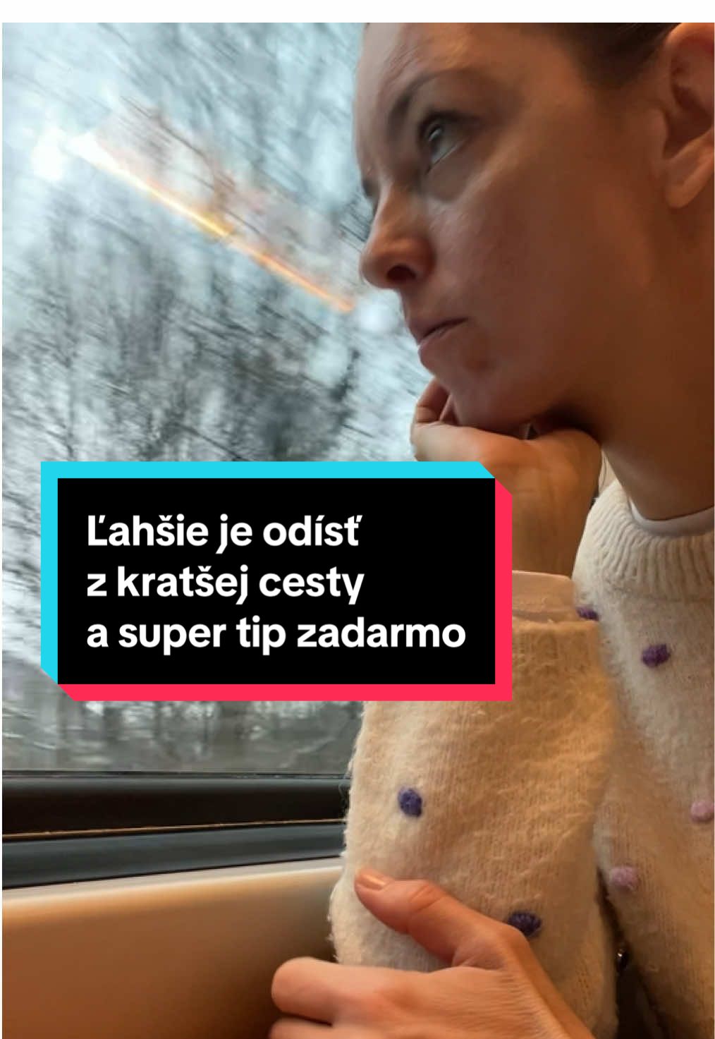 @slovenka v amerike