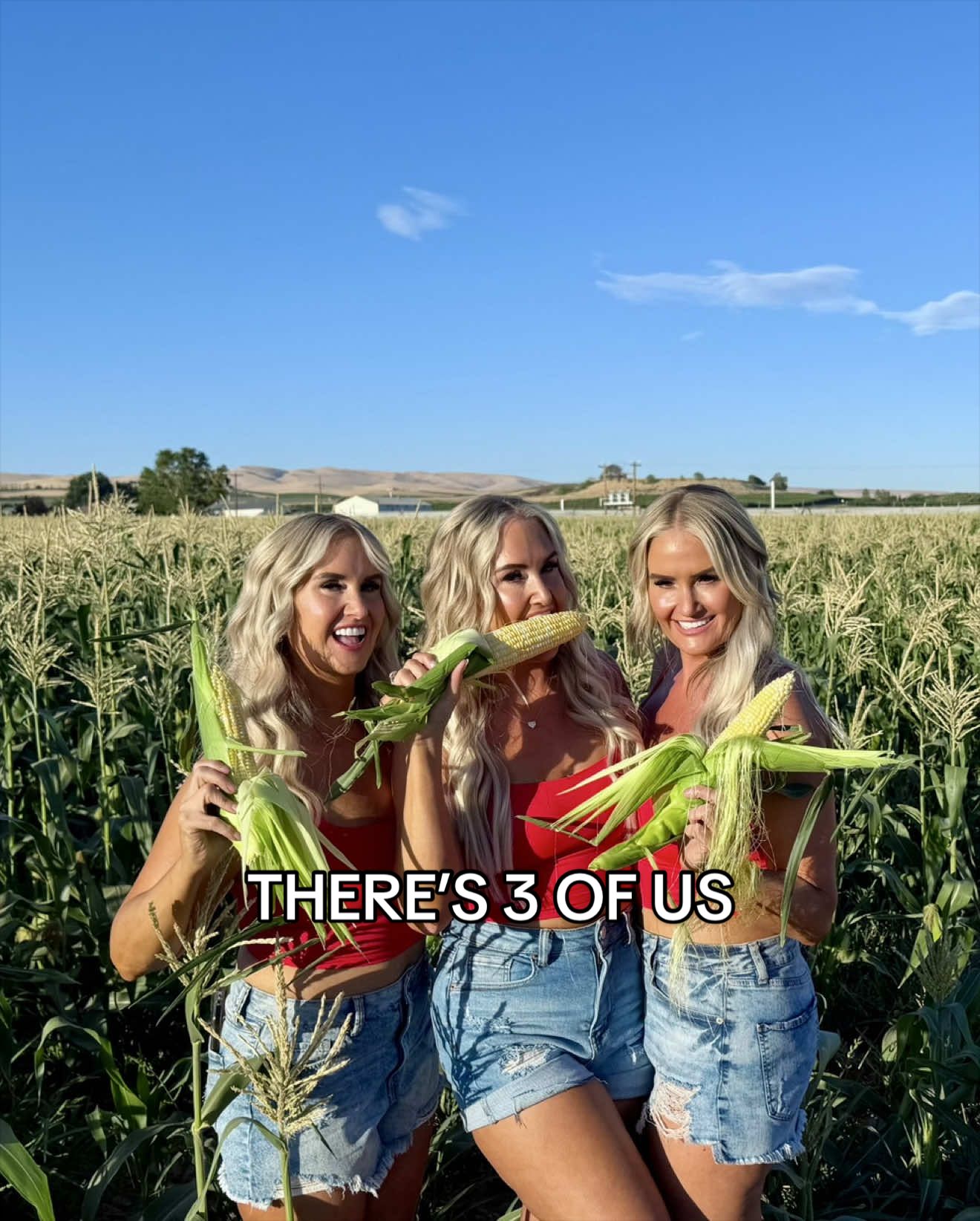 @Laura, Lisa & Leslie | Triplet