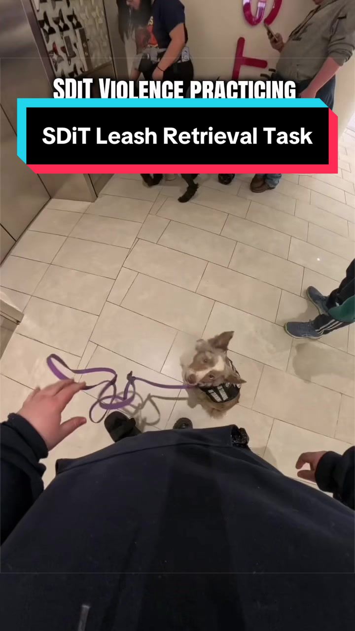 @Dakota & Pups