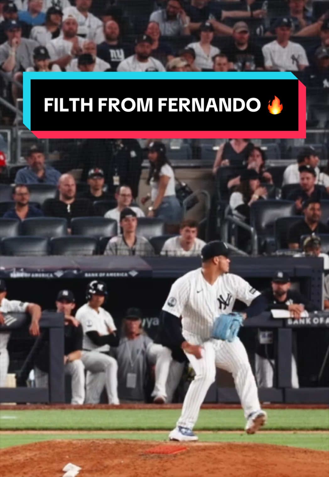 @Yankees