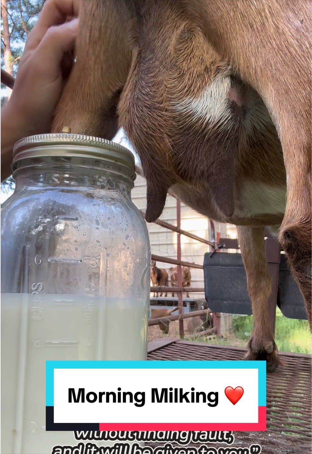 @Sierra_TSWFarms - 🐐🥛🐝