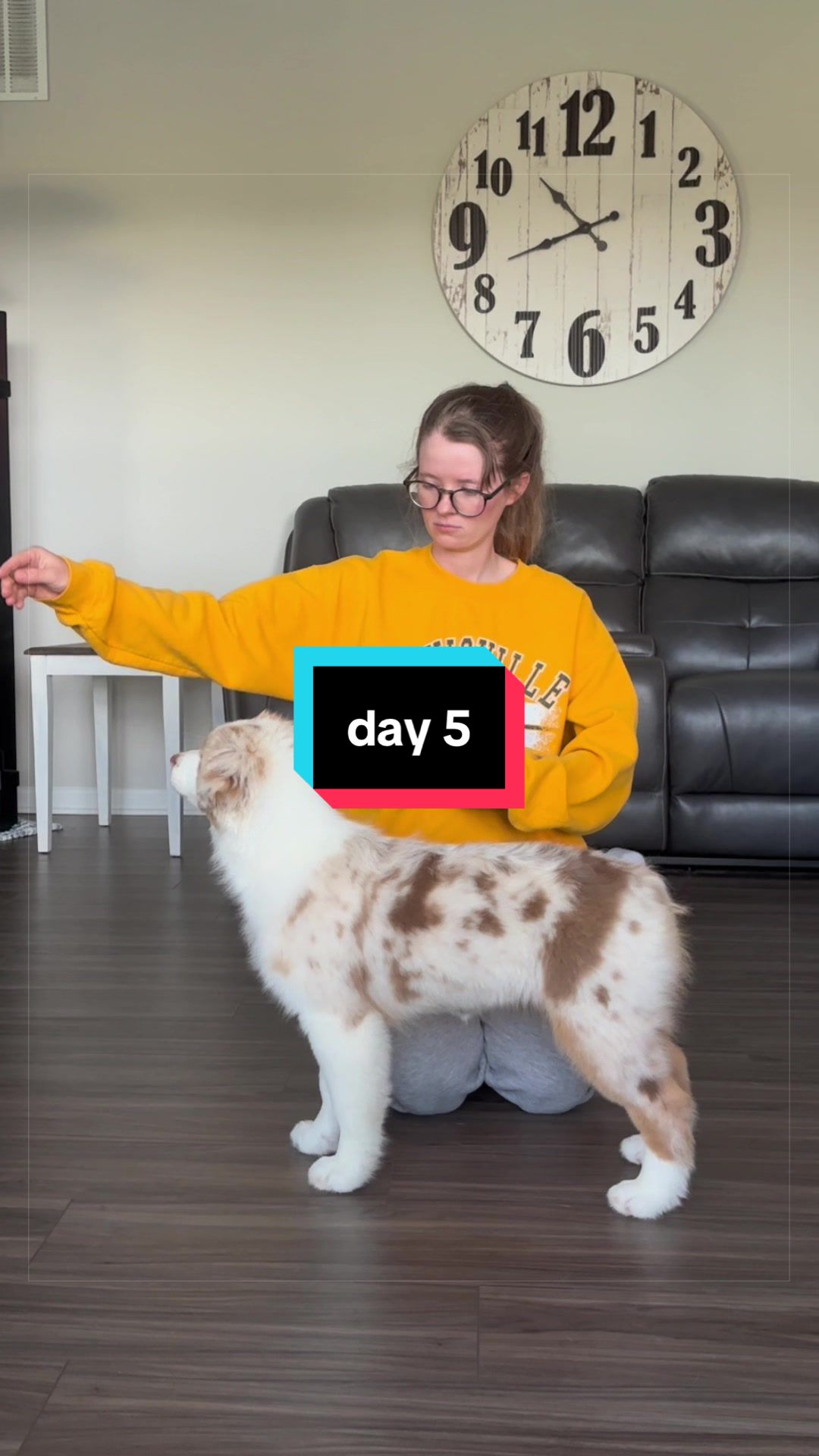 @Beck | Kentucky Dog Trainer