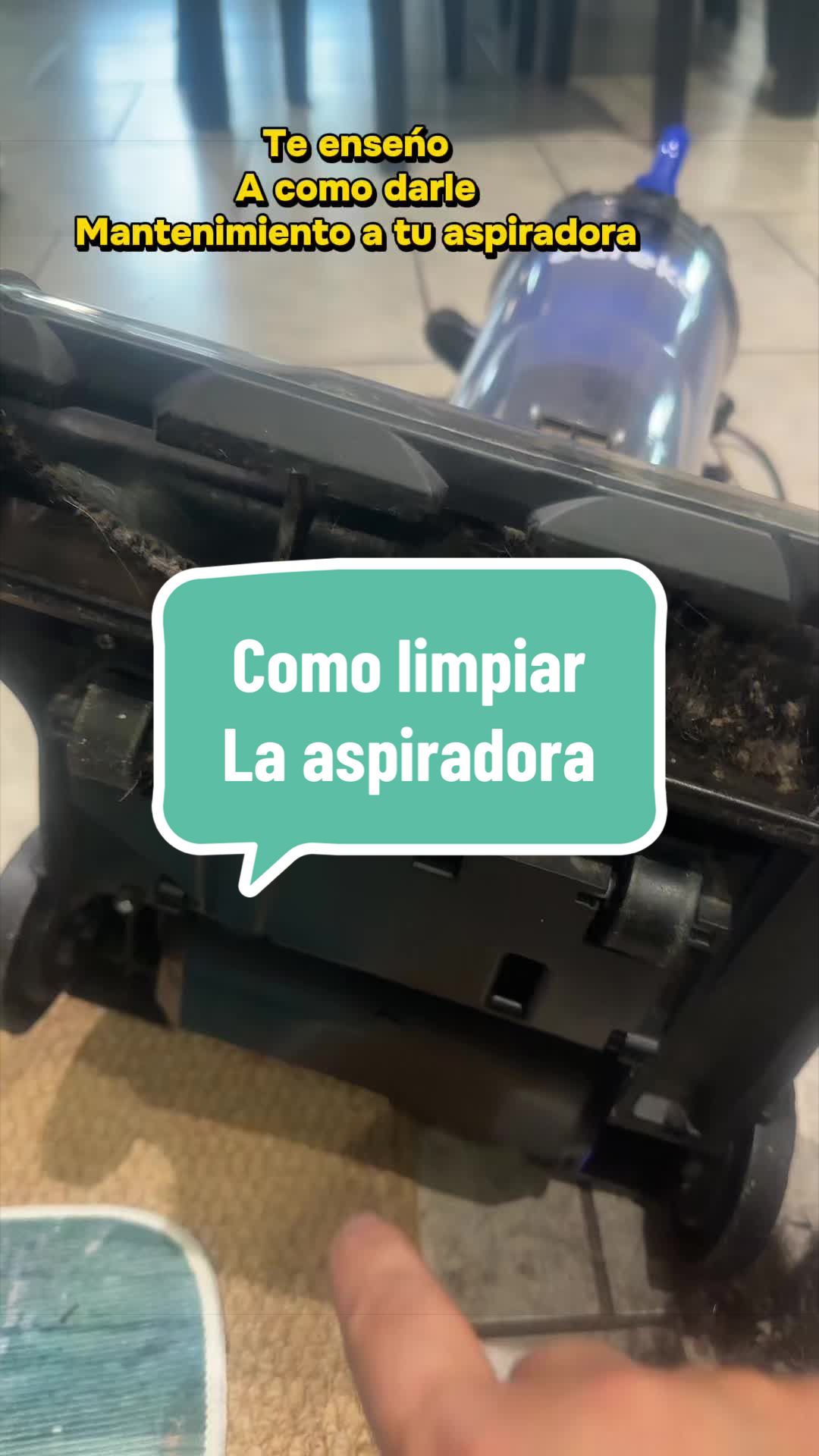 @Nora Tips 🍀