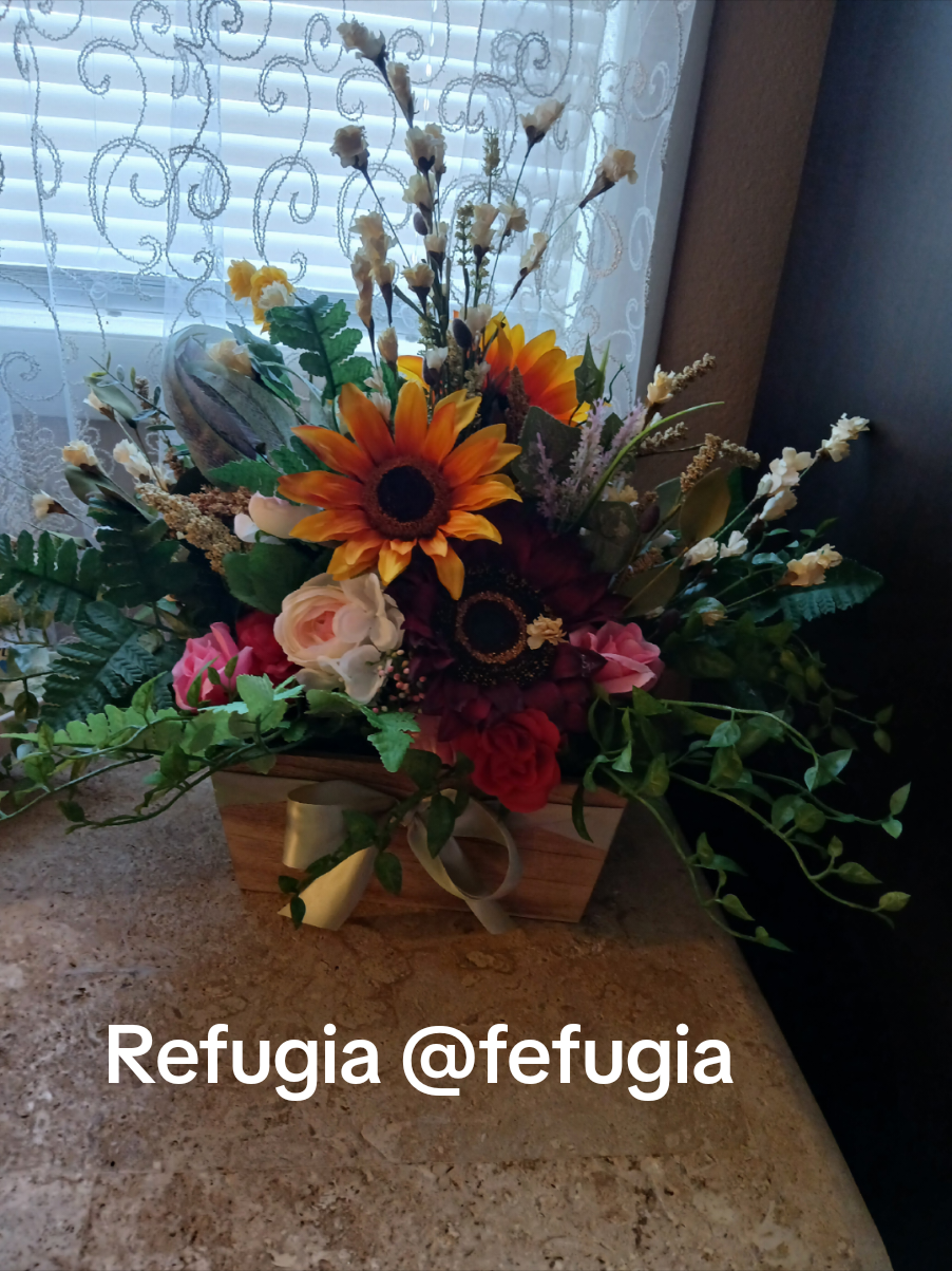 @refugia
