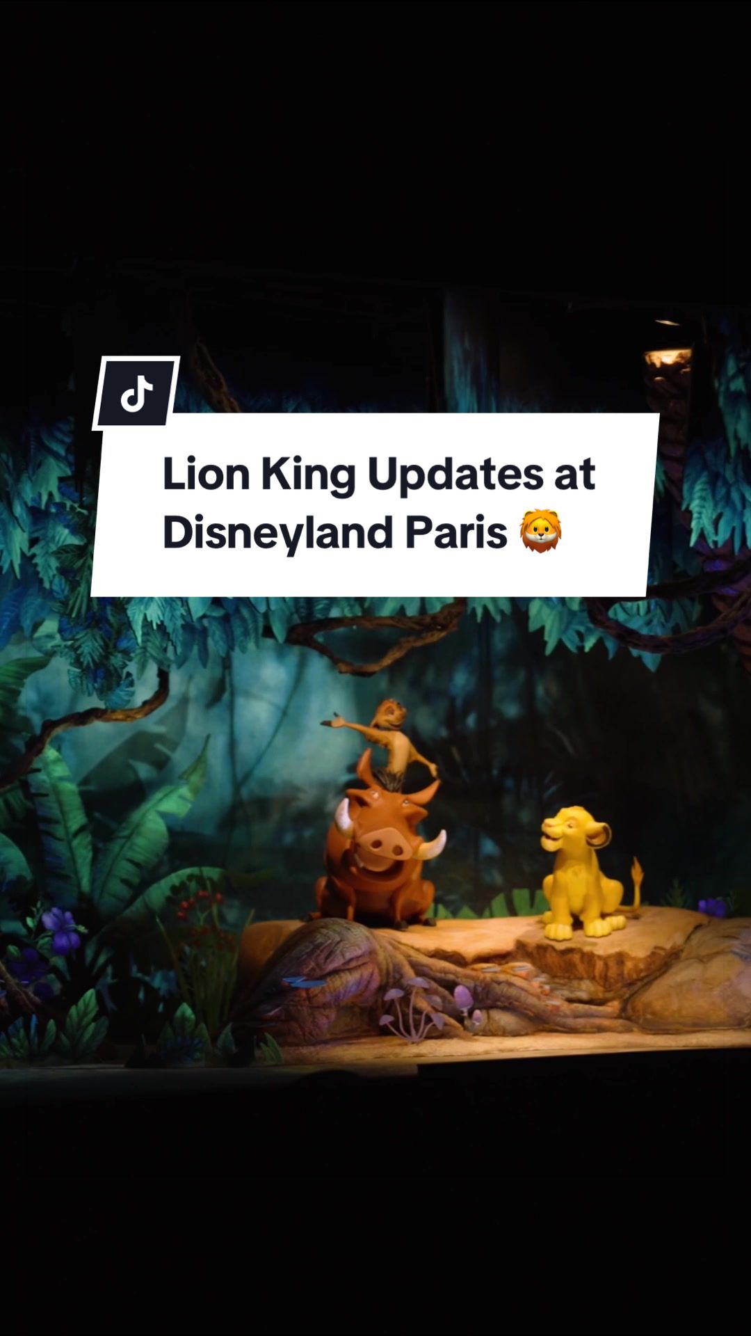 @Disney Parks
