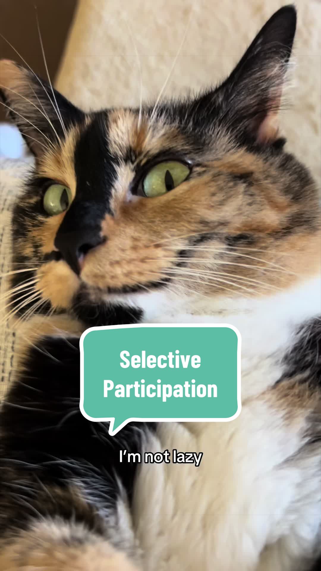 @SnickersTheSmilingCat