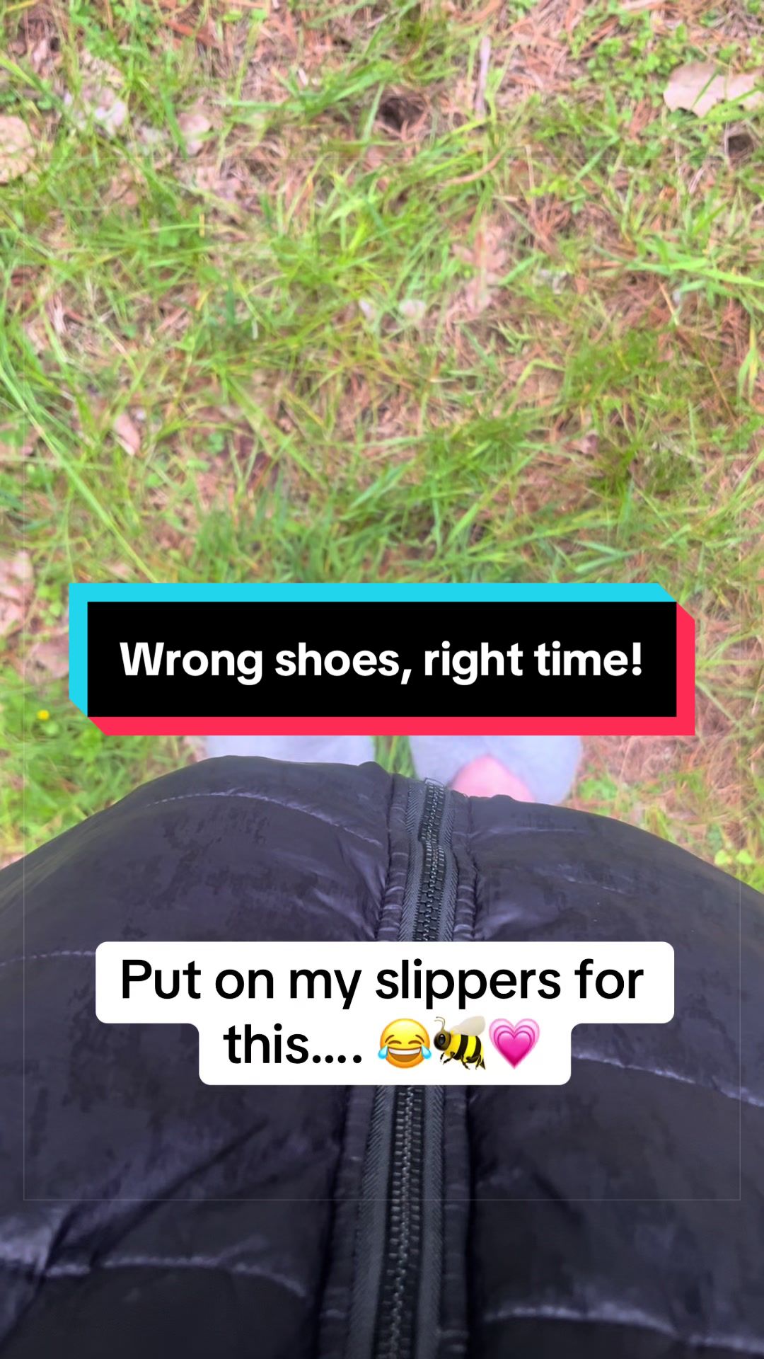 @Steph in the Wild