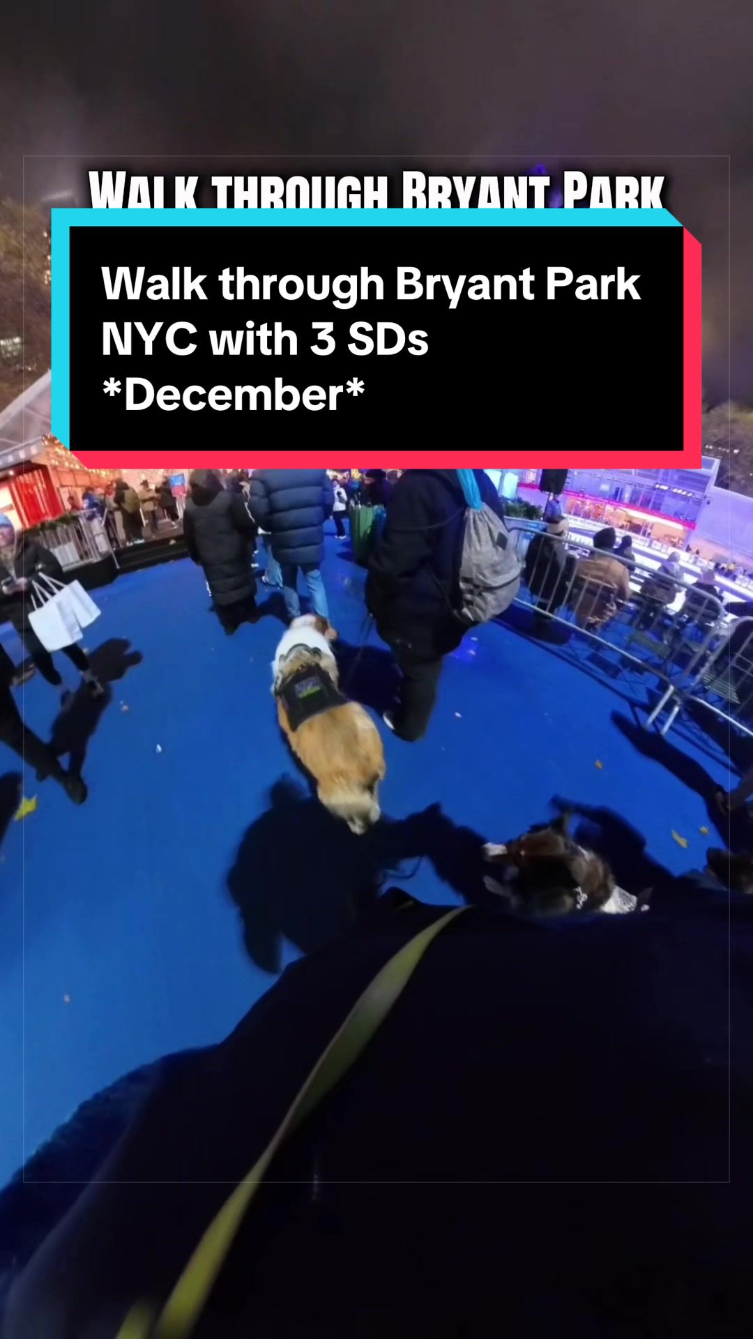 @Dakota & Pups