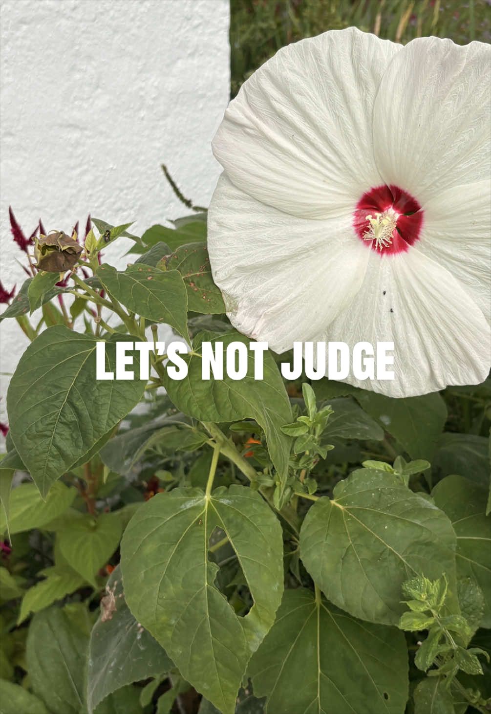 @kerry
