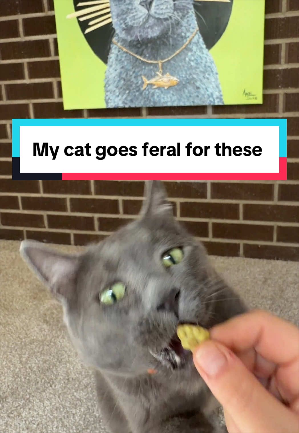 @Vital Paces