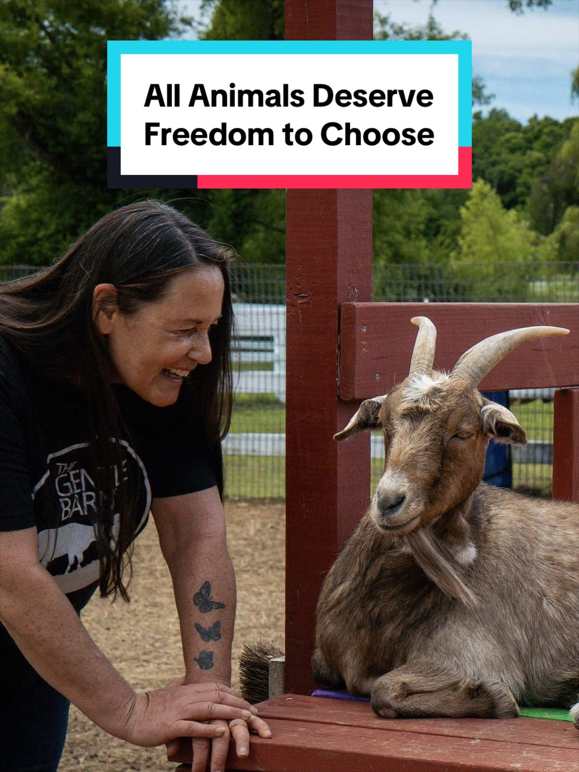 @The Gentle Barn | Sanctuary