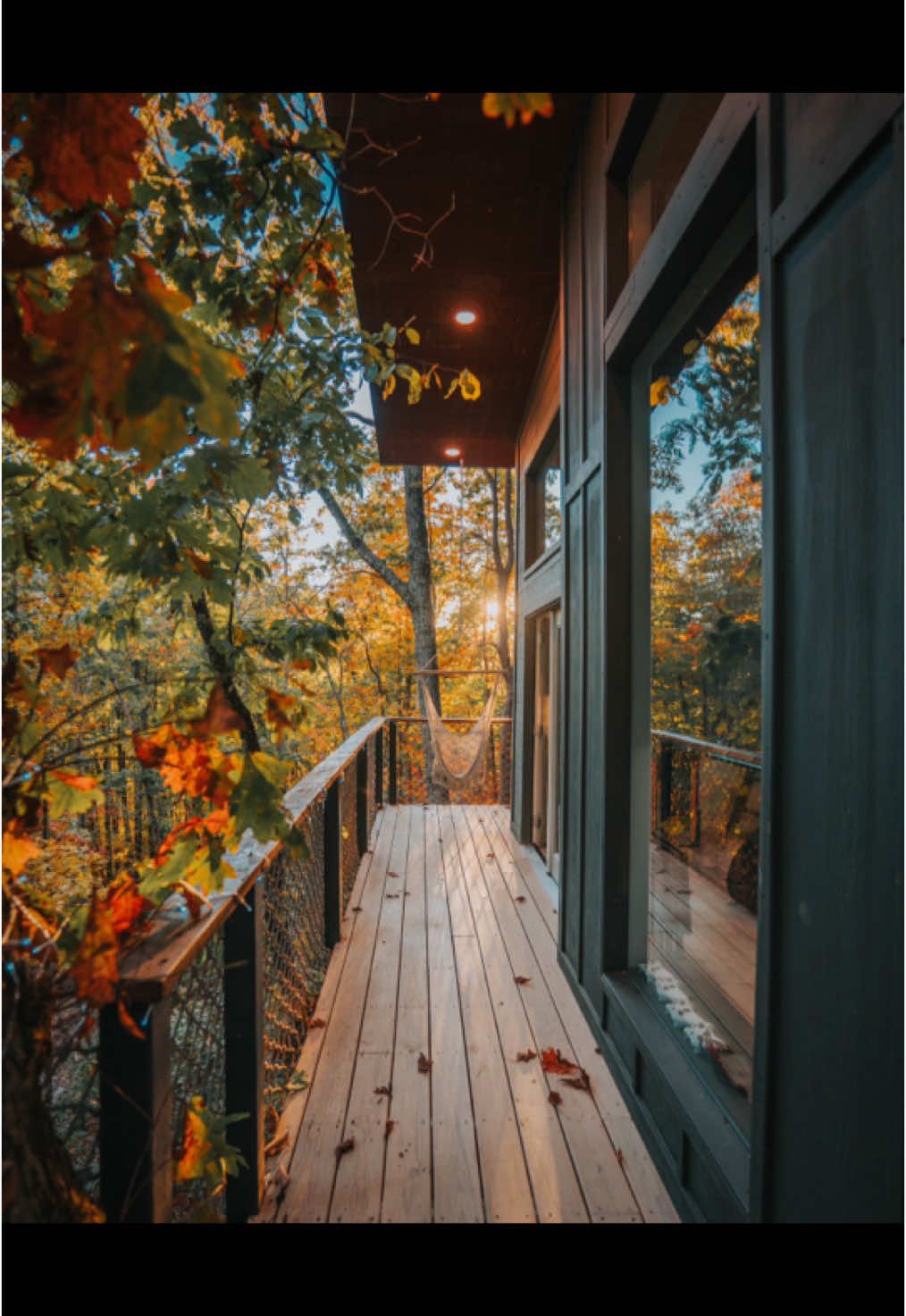 @The Treehouse Family