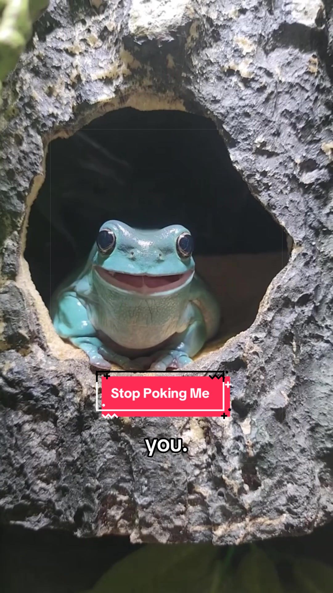 @Snugbarn