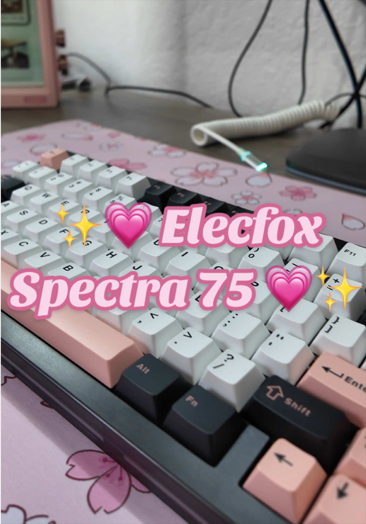 @Nancy | ᴡꜰʜ ᴀɴᴅ ᴋᴇᴇʙꜱ ✨👩🏻💻