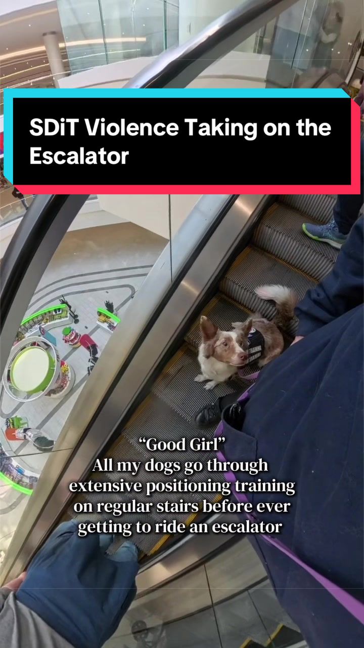 @Dakota & Pups