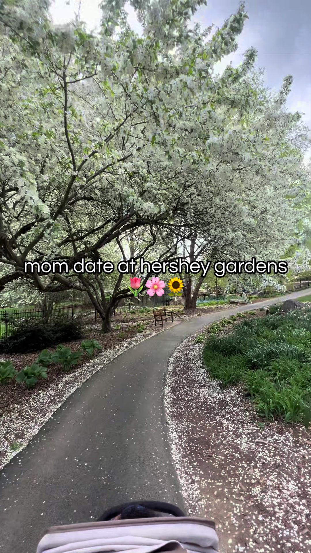 @Shanice | Mom & Realtor