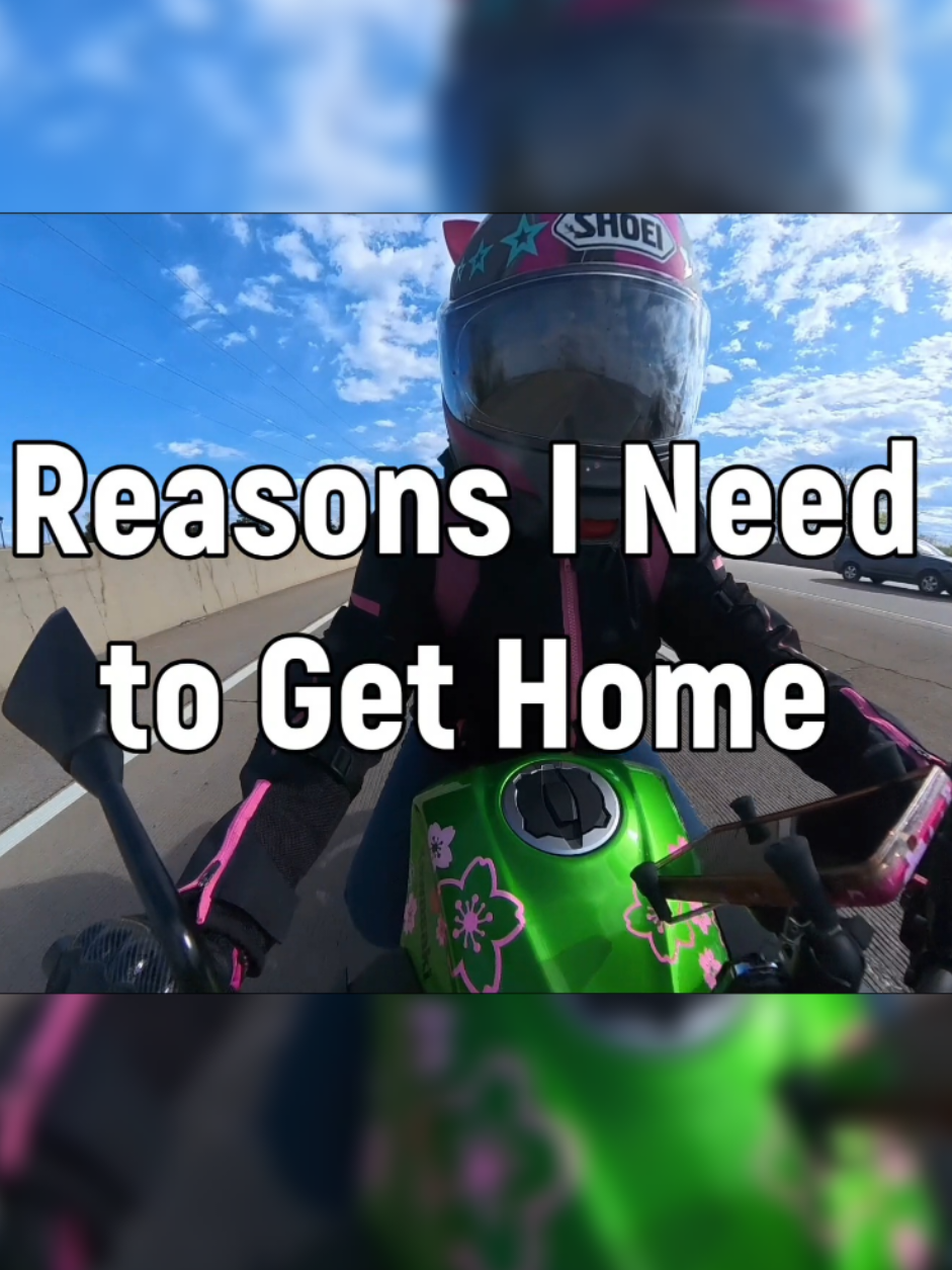 @Kimi ✨🏍️🐾💕⭐