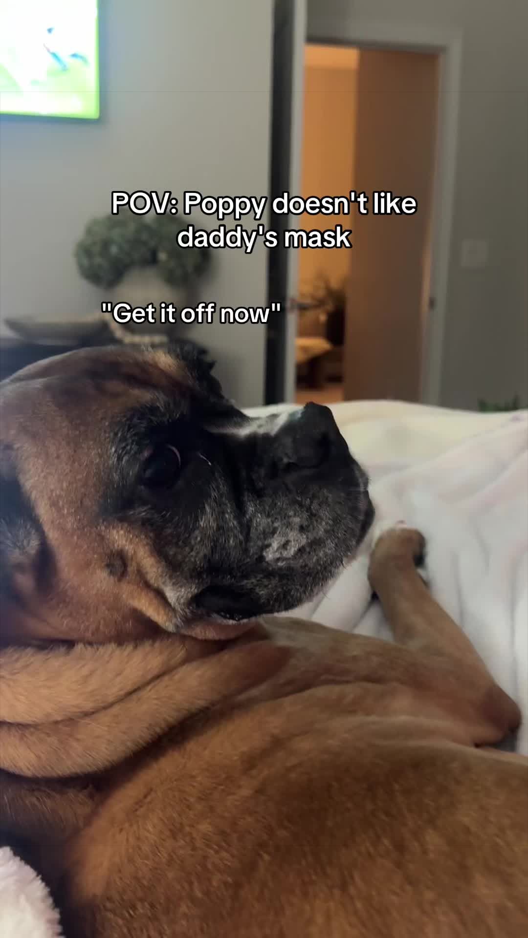 @Princess Poppy
