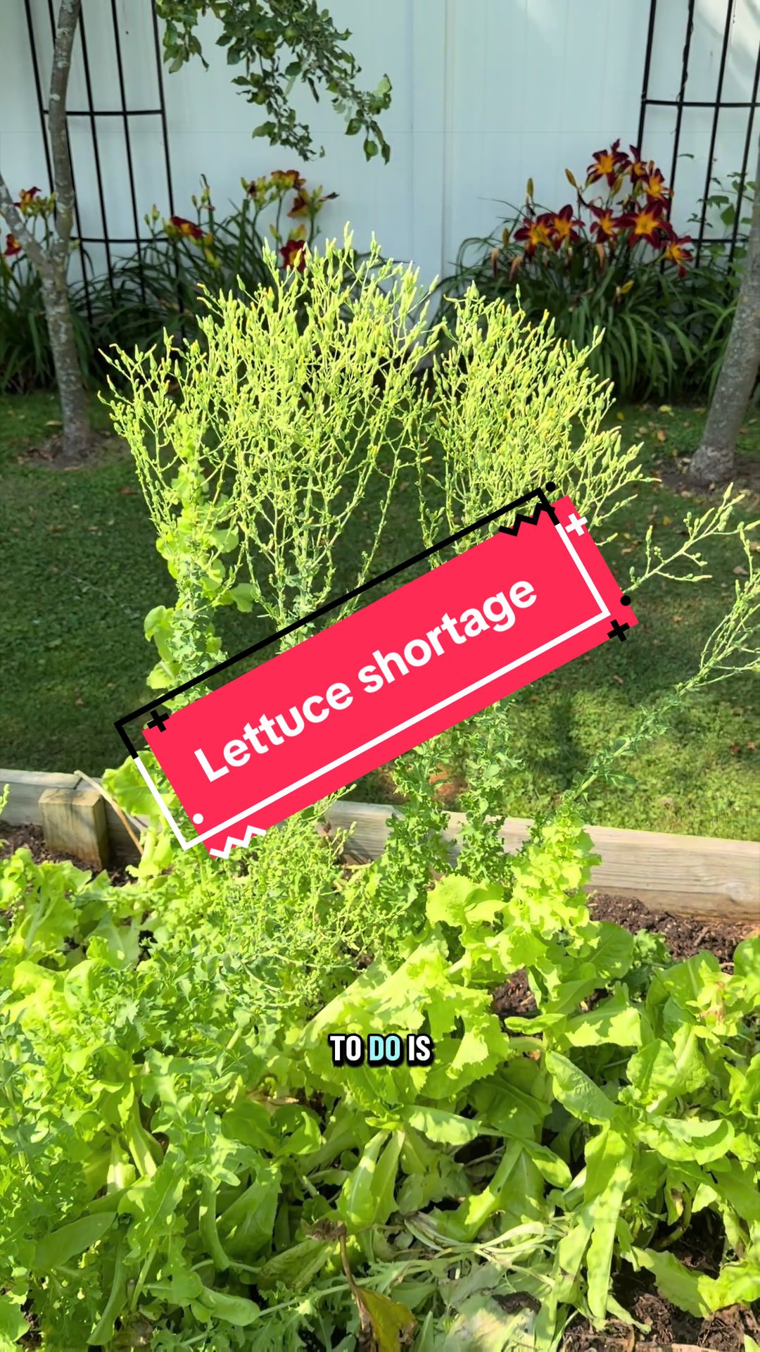 @FarmingInTheBurbs