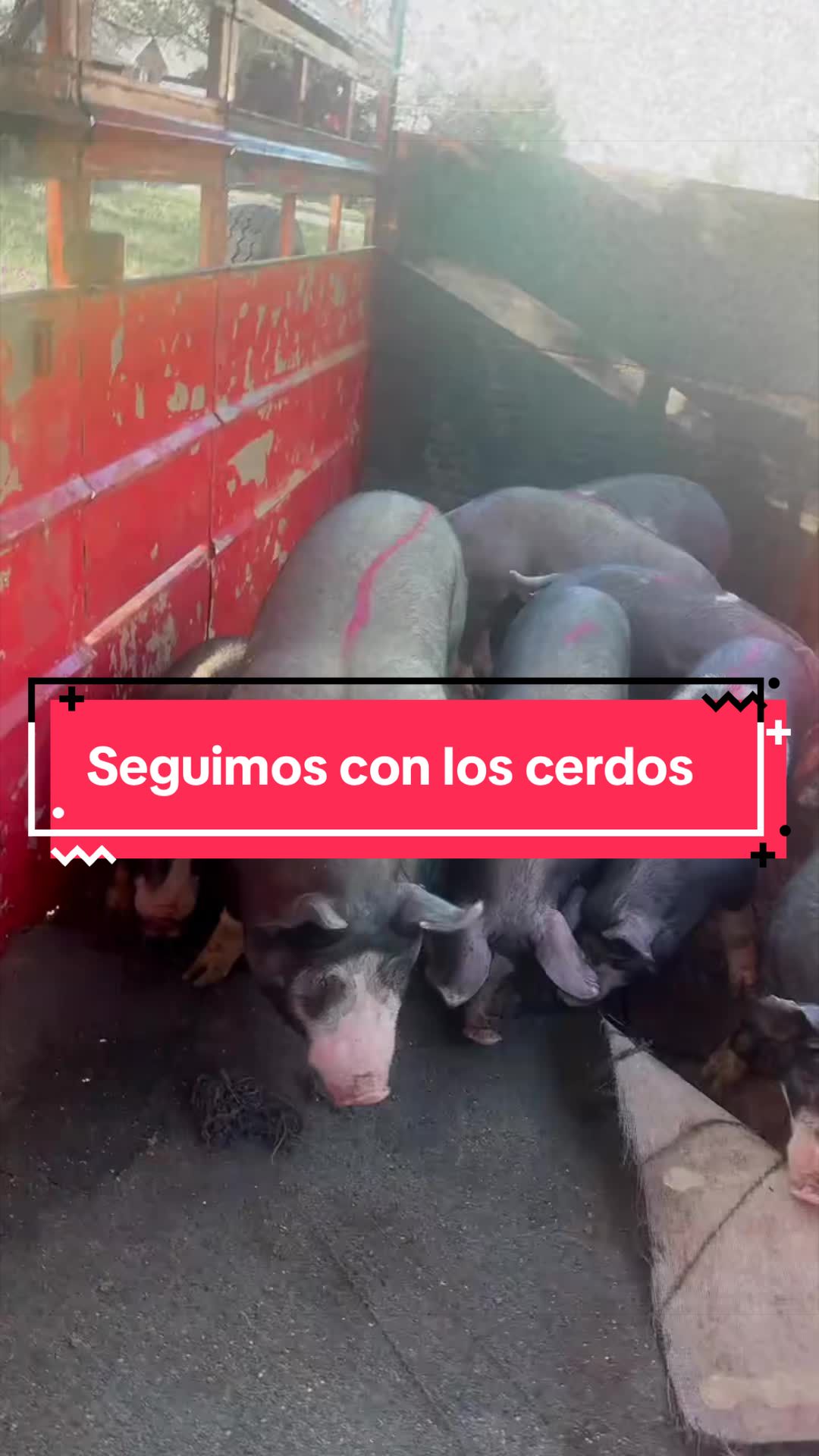 @cubanaporsiempreventas1