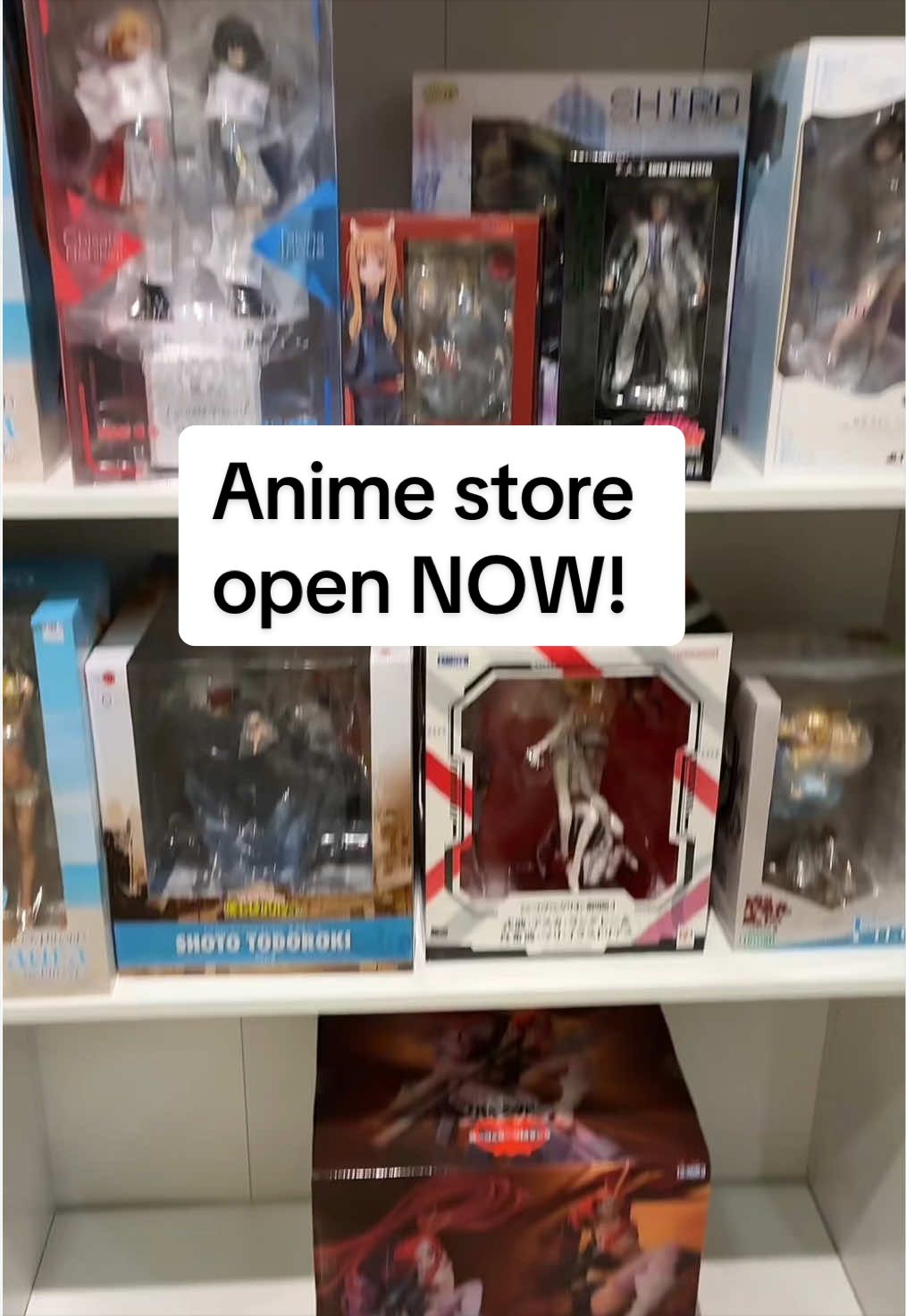 @Anime Store Near Me